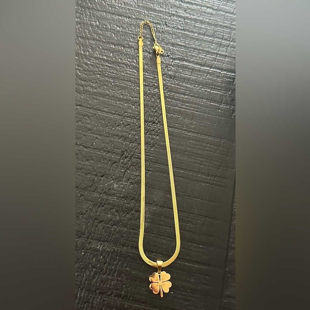 NWOT STAINLESS STEEL GOLD GLOVER NECKLACE